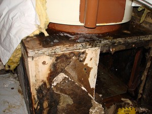 Hot-Water-Heater-failed-pic-10